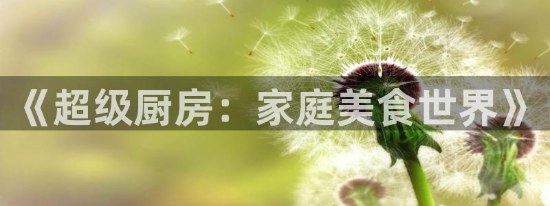 焦点娱乐注册：《超级厨房：家庭美食世界》