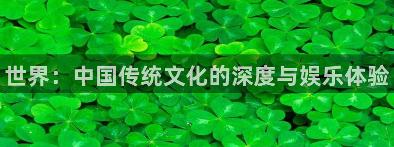 焦点娱乐：世界：中国传统文化的深度与娱乐体验