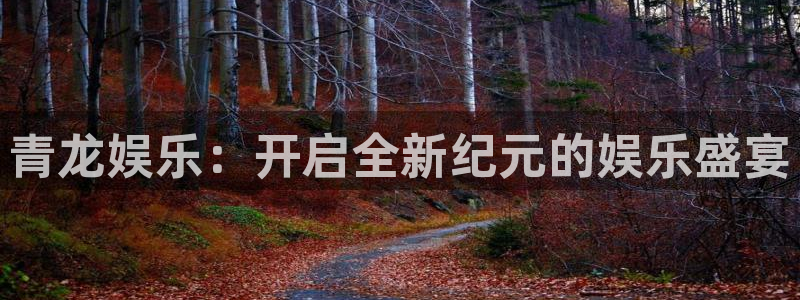 焦点娱乐：青龙娱乐：开启全新纪元的娱乐盛宴