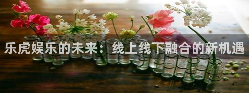 焦点娱乐官网：乐虎娱乐的未来：线上线下融合的新机遇