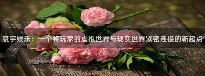 焦点娱乐登录地址：寰宇娱乐：一个将玩家的虚拟世界与现实世界紧密连接的新起点