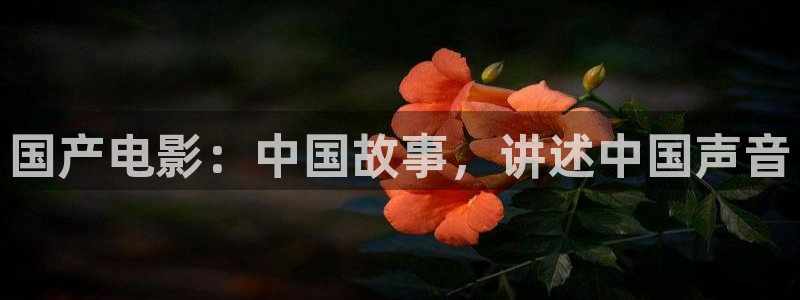 焦点娱乐网：国产电影：中国故事，讲述中国声音