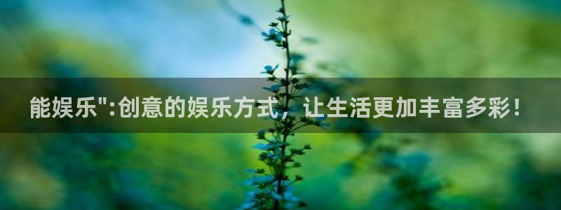 小焦点娱乐：能娱乐\