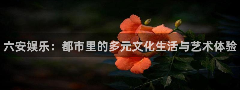 焦点娱乐官网：六安娱乐：都市里的多元文化生活与艺术体验
