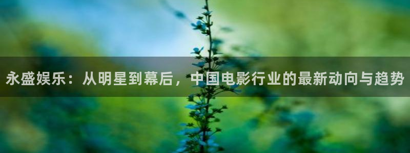 焦点娱乐登录：永盛娱乐：从明星到幕后，中国电影行业的最新动向与趋势