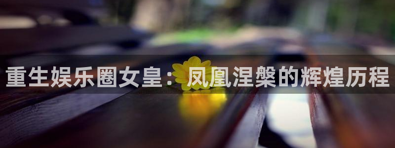 焦点娱乐官网：重生娱乐圈女皇：凤凰涅槃的辉煌历程
