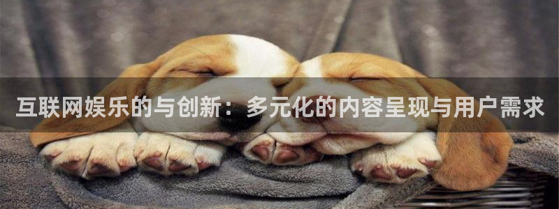 小焦点娱乐：互联网娱乐的与创新：多元化的内容呈现与用户需求