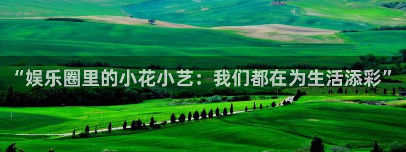 焦点娱乐登录地址：“娱乐圈里的小花小艺：我们都在为生活添彩”